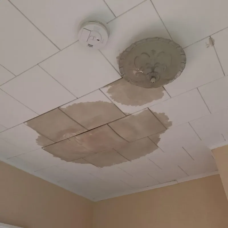 Ceiling Water Damage Repair in Wesleyville, PA