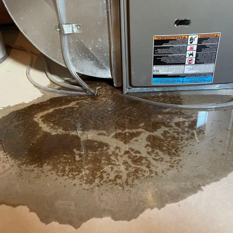 Pipe Burst and Leak Restoration in Wesleyville, PA