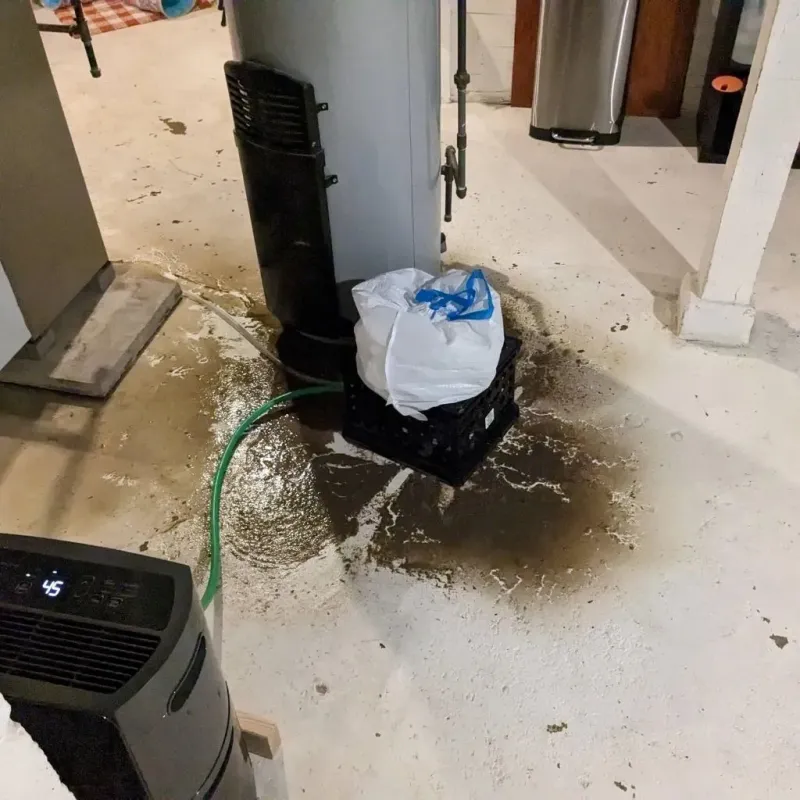 Sewage Backup Cleanup Service in Wesleyville, PA